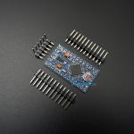 Arduino Pro Mini 5V (ATmega328P) + Free Pin Header