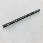 Double Row Circular Hole Jack (2x40 Pin, 2.54 mm)