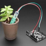 Adafruit STEMMA Soil Sensor - I2C Capacitive Moisture Sensor (แท้จาก Adafruit)