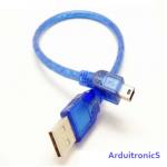 Mini USB Cable (30cm)