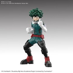 Entry Grade Izuku Midoriya