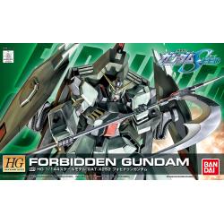 HG 1/144 R09 GAT-X252 Forbidden Gundam