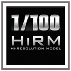 [HI-RESOLUTION MODEL] HiRM 1/100