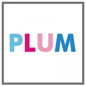 In-Stock : PLUM Scale Figures