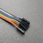 Jumper Wire 10p Test Hook 10 เส้น ปลายสายแบบเมีย Test Hook To Female Dupont Cable