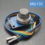 MQ131 Gas Sensor Module (Ozone) MQ-131
