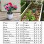 3-in-1 Soil Meter (pH, Moisture, Light)