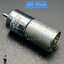 DC Motor Model 25GA370R มอเตอร์เกียร์ แกนกลาง รุ่น25 DC 12V:30RPM 25GA370R-12V-30