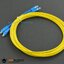 2mm SC-SC Single Mode Duplex Fiber Jumper (3m) (แท้จาก DFRobot)