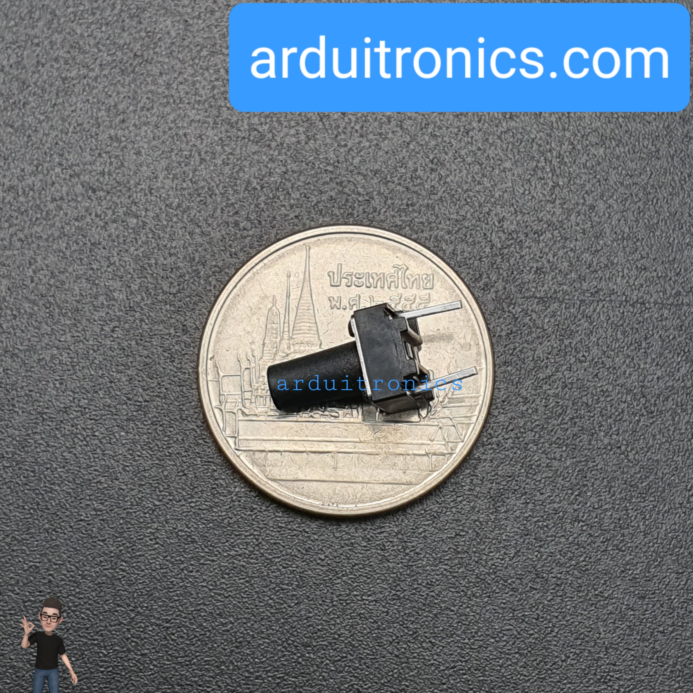 Tact Switch 6X6x10mm ไมโครสวิตช์ กดติดปล่อยดับ 2 ขา (หัวกลม)