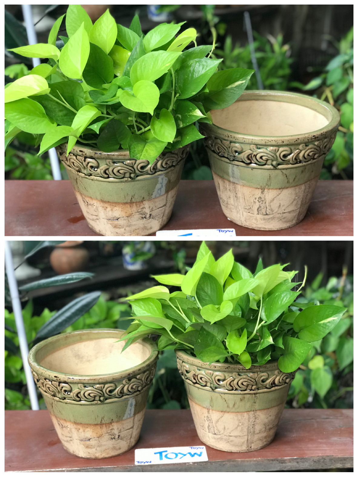 ขายคู่ ไม่รวมต้นไม้ เก็บเก่ากระถาง แจกันลายปั้นนูน น้ำเคลือบสีเขียว สวยสมบูรณ์ ไม่แตกไม่ร้าว ขนาดปากกว้าง 10 นิ้ว สูง 8 นิ้ว