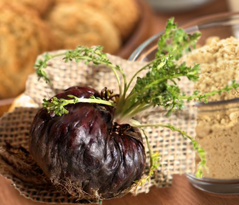 Organic Black Maca Capsule (มาคาดำ โสมเปรูดำ ชนิดแคปซูล) 60 แคปซูล