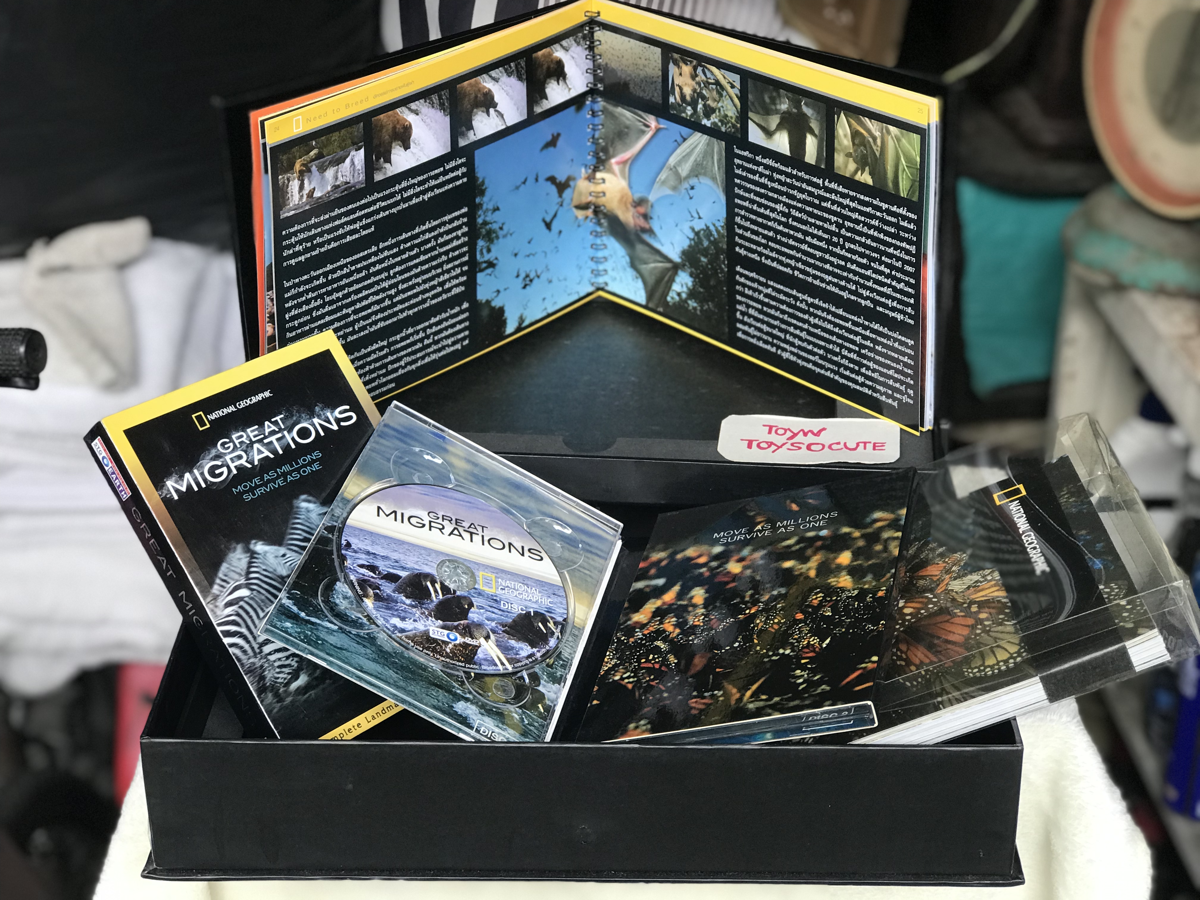 Box Set- National Geographic DVD ดีวีดีสารคดี GREAT MIGRATIONS MOVE AS MILLIONS SURVIVE AS ONE