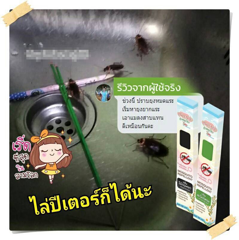 ธูปหอมไล่ยุง อินเซนส์ (2 กล่อง) กลิ่นตะไคร้หอม และ กลิ่นไม้กฤษณา