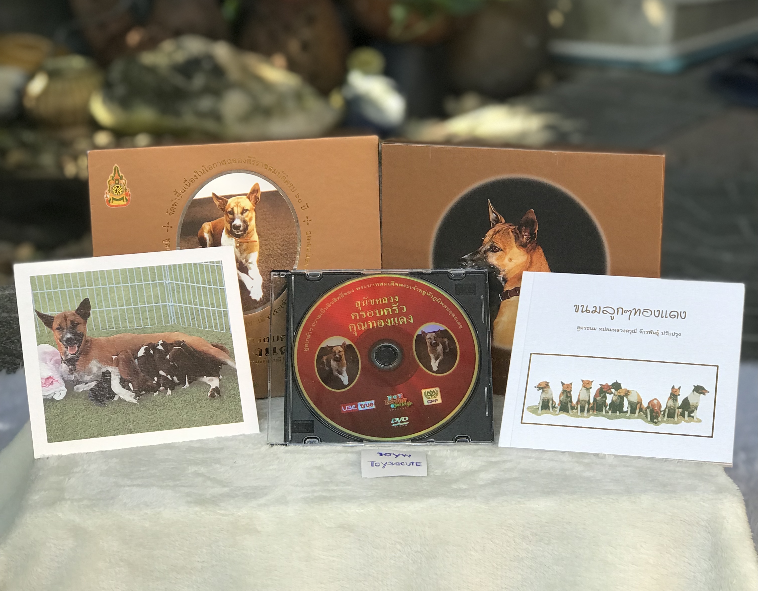 จัดทำเพียง 99 ชุด DVD กล่องสีทอง สารคดี ตอน สุนัขหลวง ครอบครัวคุณทองแดงและ ตอนปฏิบัติงานของสุนัขพระราชทานฯ รัชกาลที่ 9