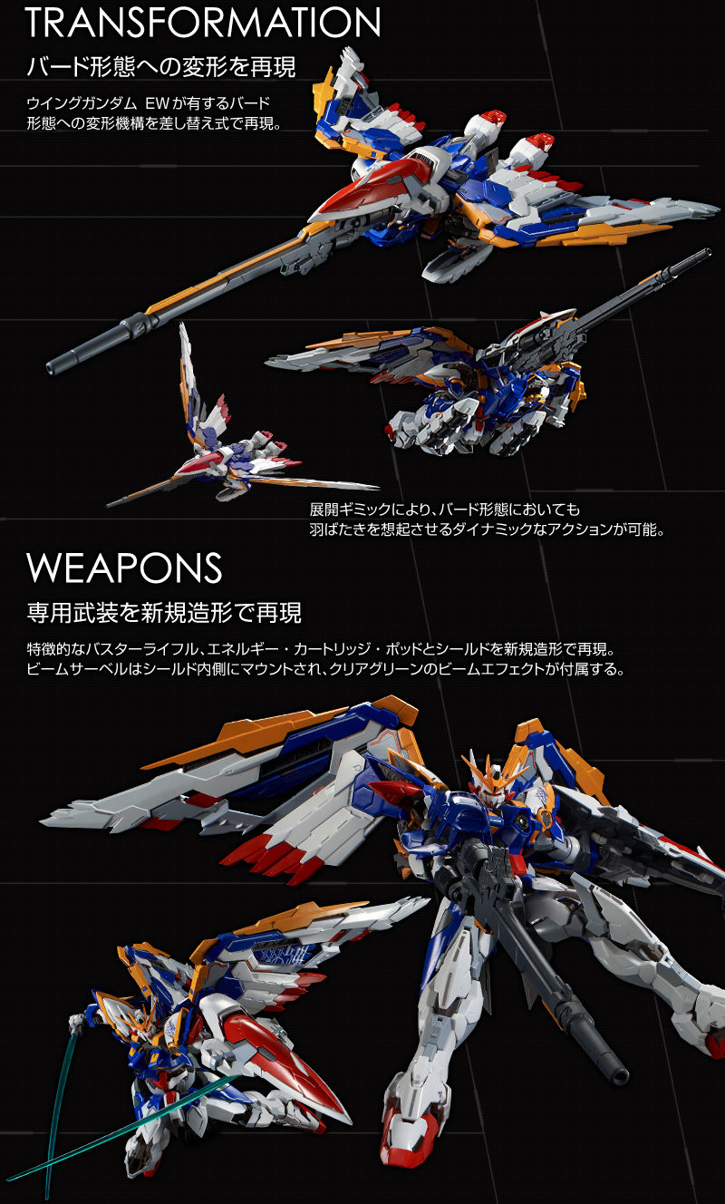 Hi-Resolution Model : 1/100 Wing Gundam EW
