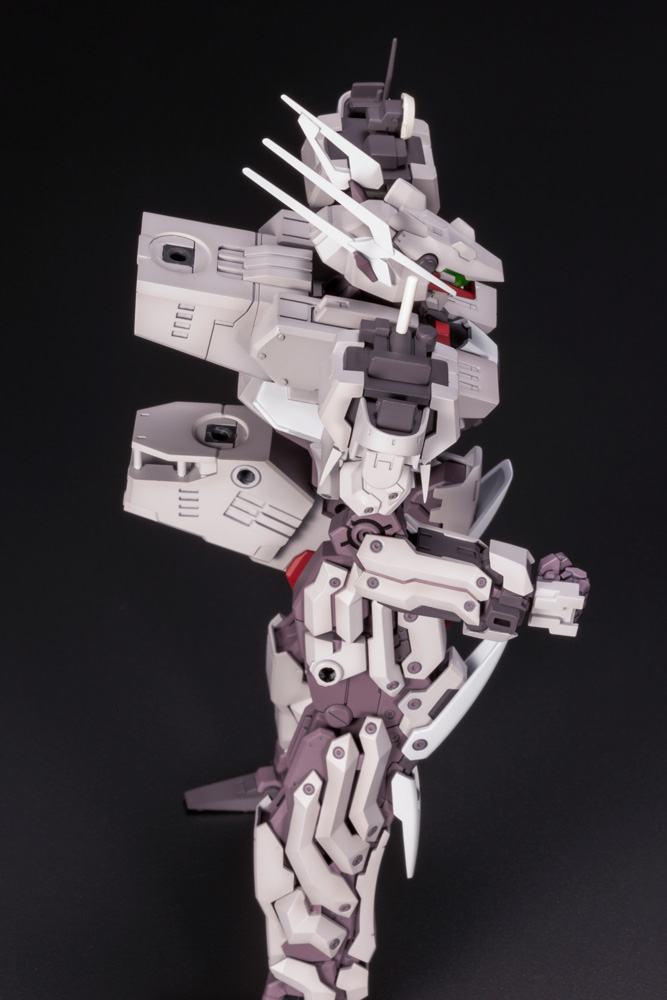 Frame Arms 1/100 Kongo