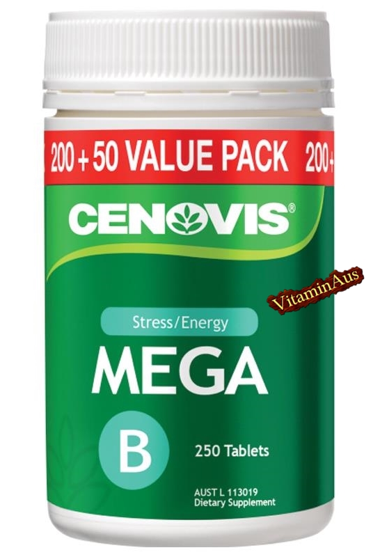 Mega B Value Pack 250 Tablets