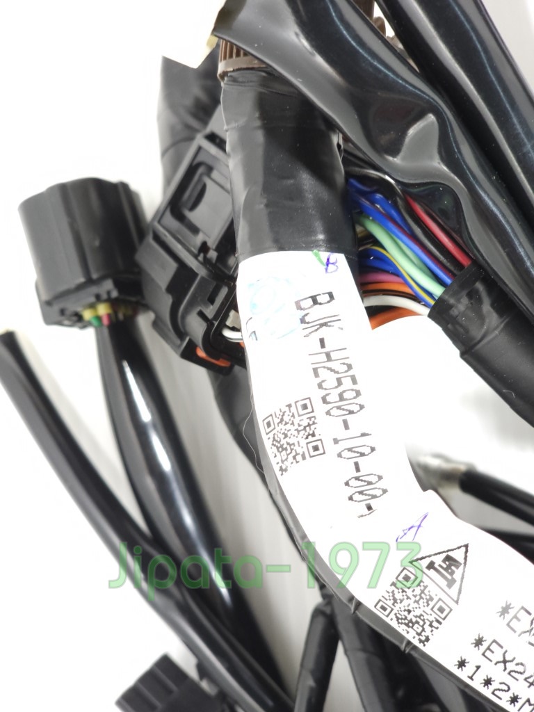 (Grand Filano) ชุดสายไฟเมน ชุดใหญ่ Yamaha Grand Filano ปี 2023 สำหรับรถรุ่น Smart Key แท้