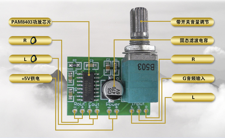 PAM8403 Mini Digital Power Amplifier with Switch Potentiometer