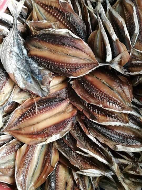 ปลาโอขาว