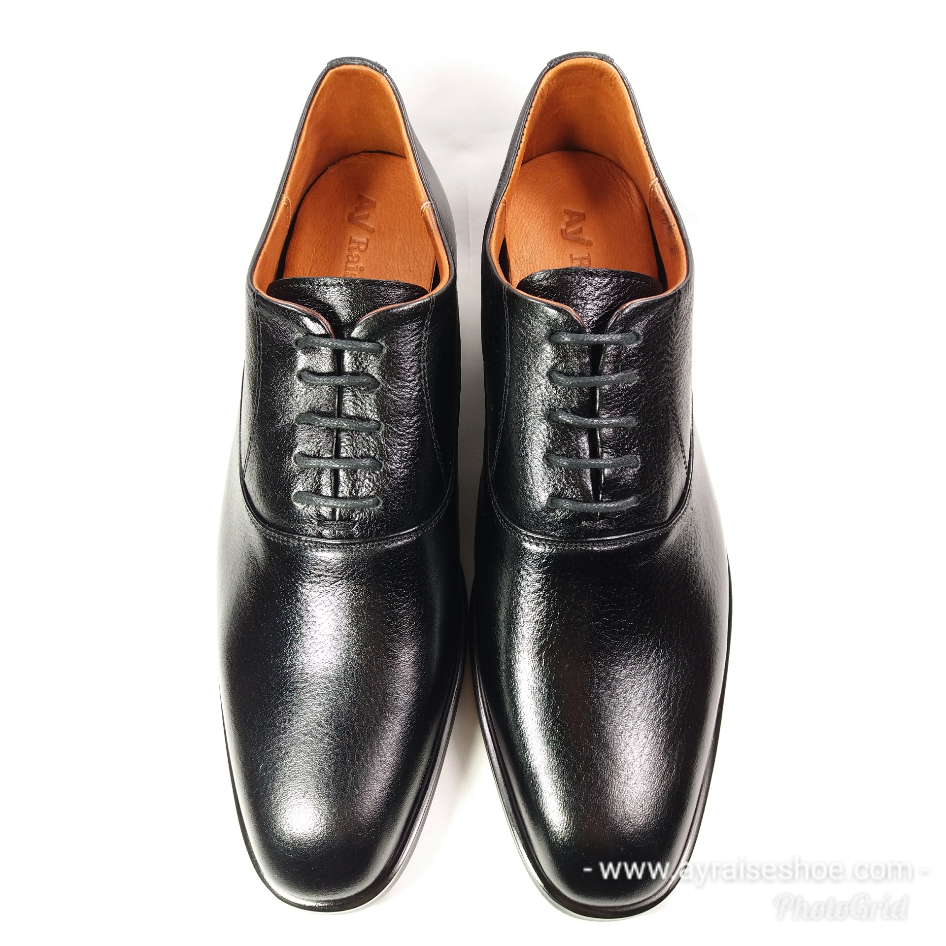 Classica (Black CM) 8.5