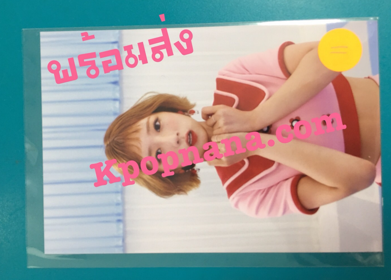 Apink- ของสะสม [PINK UP] - photo ราคา แผ่น ละ 80 บาท แบบที่ 14 - พร้อมส่ง