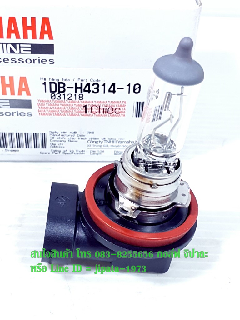 (Nouvo SX,GPX Demon) หลอดไฟหน้า ขั้ว H11 12V/55W แท้