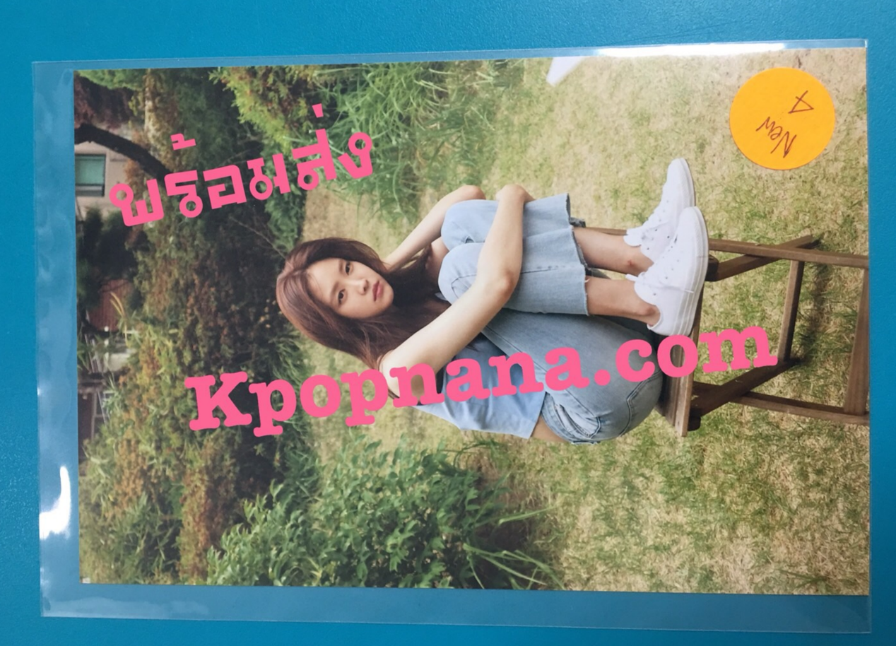 Apink- ของสะสม [PINK UP] - photo ราคา แผ่น ละ 80 บาท แบบที่ 2 - พร้อมส่ง