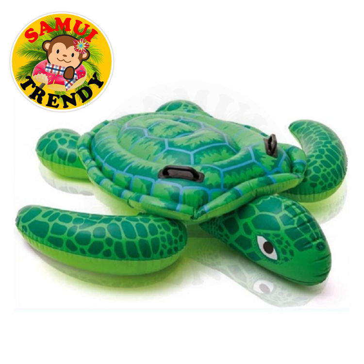 Giant Turtle