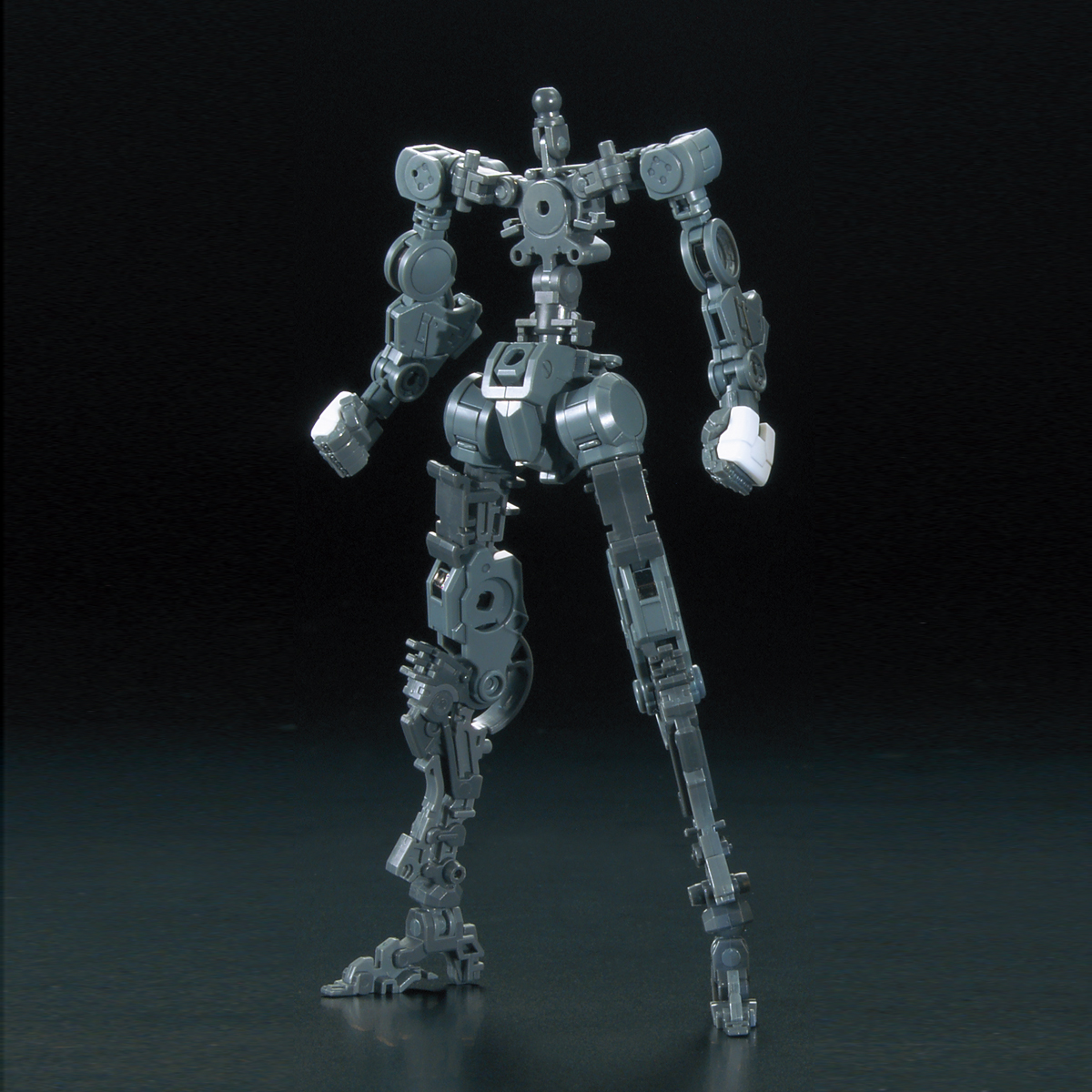 RG 1/144 GNT-0000 00 Qan[T]