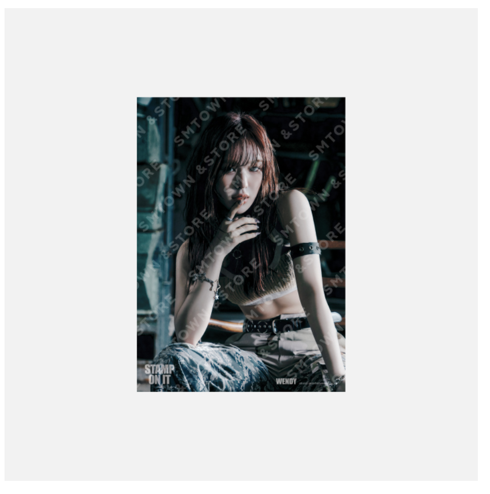 GOT the beat -GOT the beat The 1st mini Album - 'Stamp On It' MD Collection] - ของสะสม A4 PHOTO - Wendy