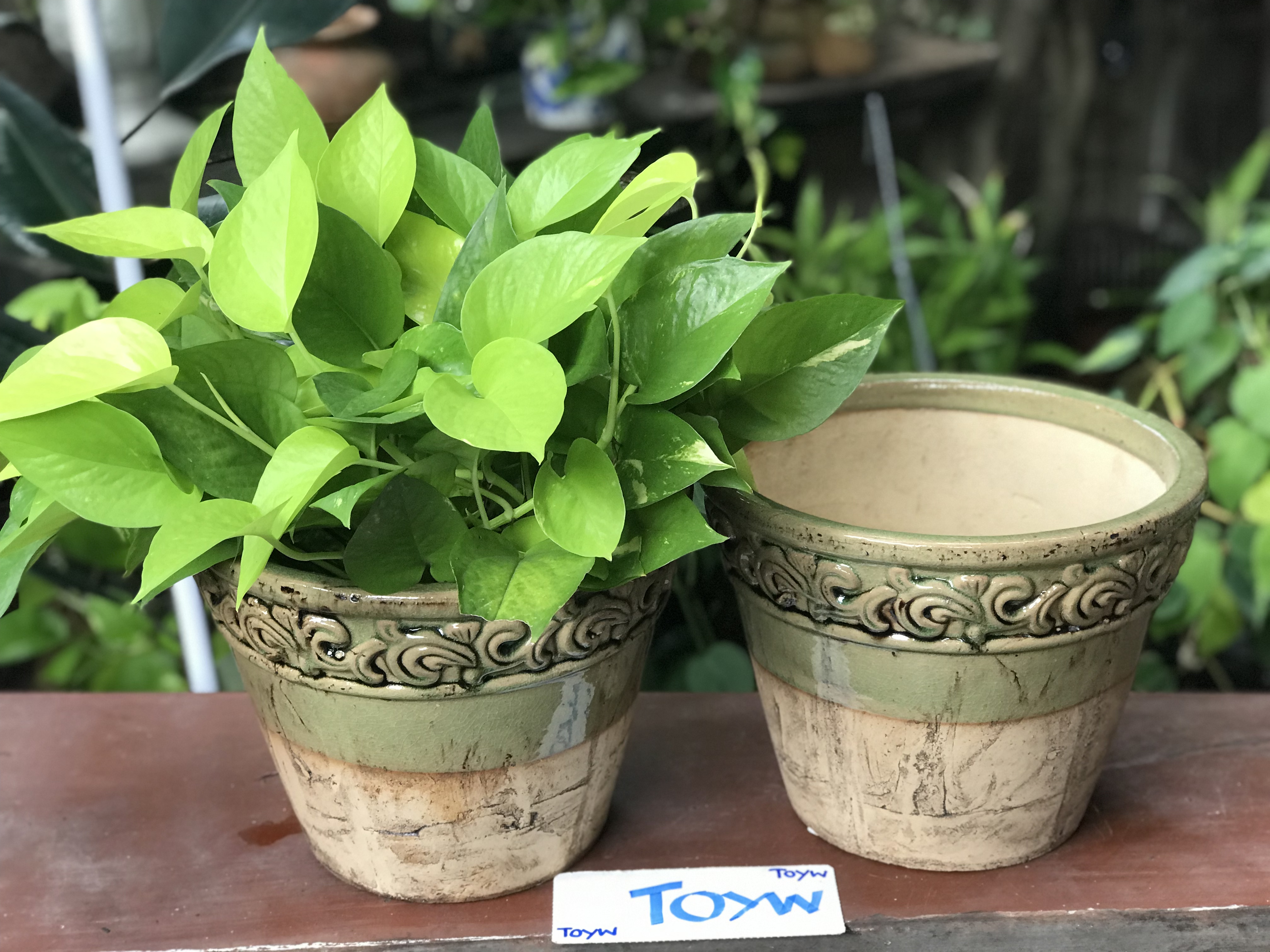 ขายคู่ ไม่รวมต้นไม้ เก็บเก่ากระถาง แจกันลายปั้นนูน น้ำเคลือบสีเขียว สวยสมบูรณ์ ไม่แตกไม่ร้าว ขนาดปากกว้าง 10 นิ้ว สูง 8 นิ้ว