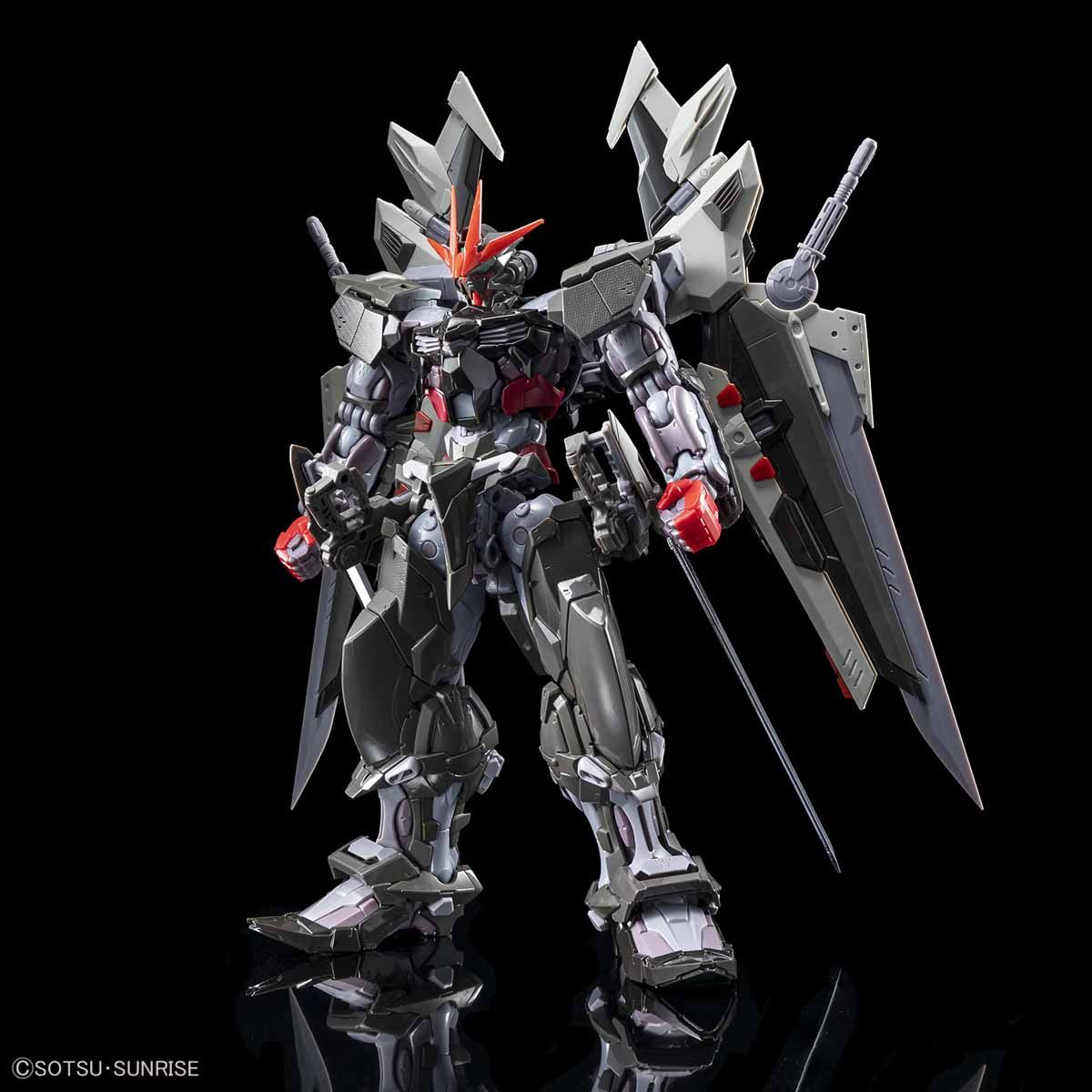 Hi-Resolution Model : 1/100 Gundam Astray Noir