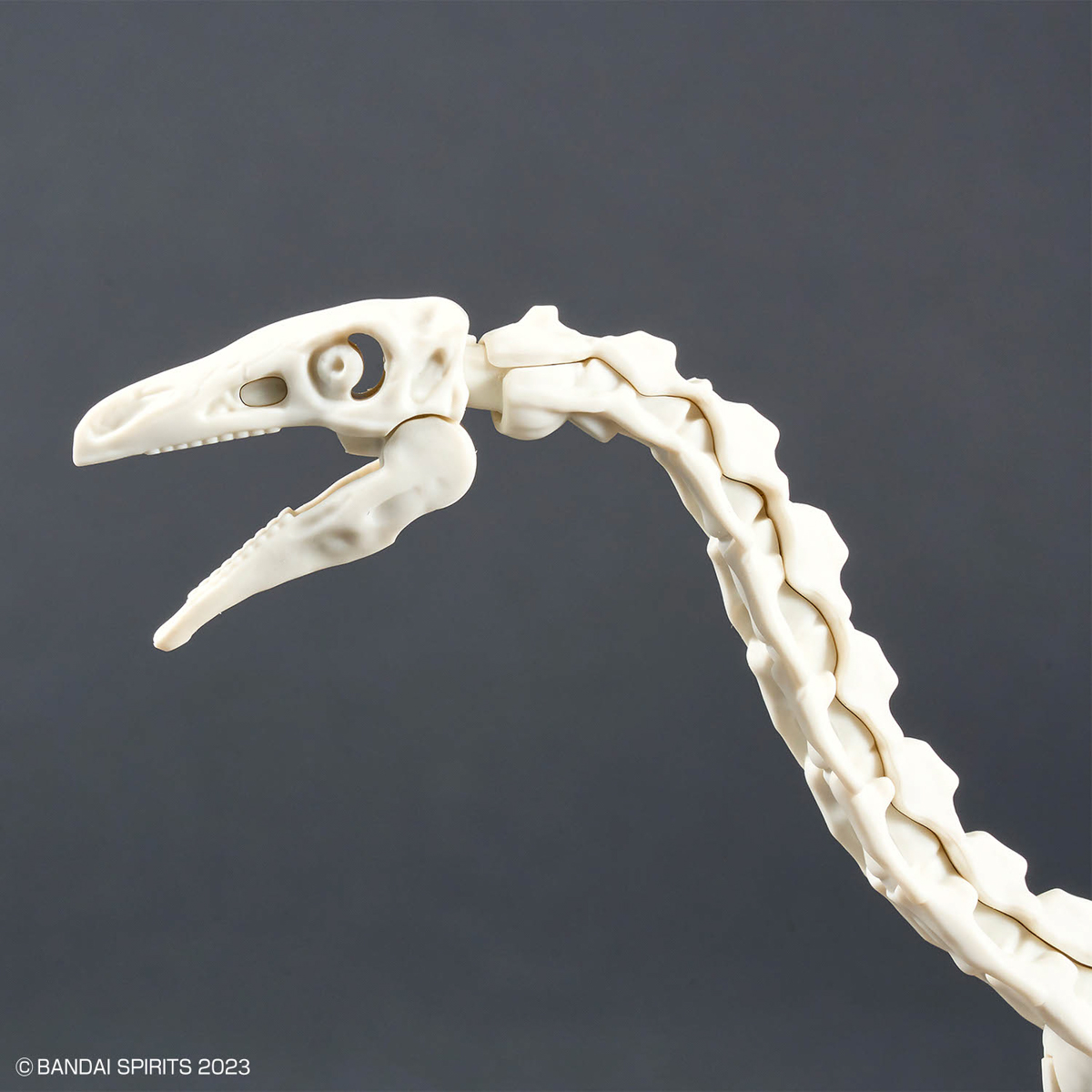 Planosaurus Therizinosaurus