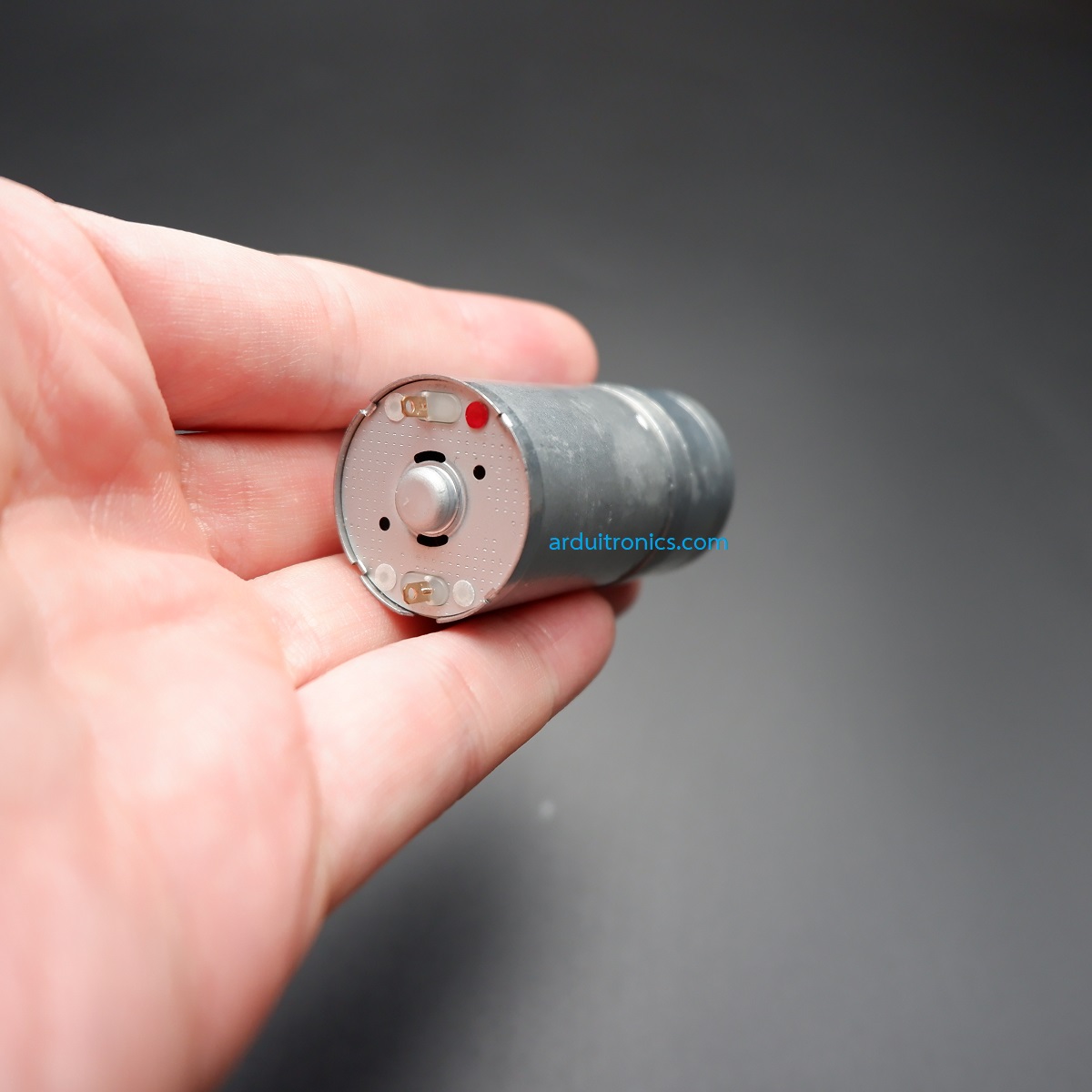 Magnet DC High Speed Motor (12V 1360rpm)