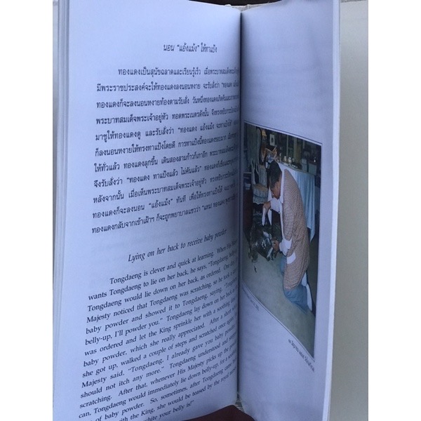 หนังสือพระราชนิพนธ์ ในหลวงรัชกาลที่ 9 เรื่องคุณทองแดง สุนัขทรงเลิ้ยง (ปกแข็ง) The Story of Tongdaeng รายละเอียดหนังสือ ISBN : 9742726264 (ปกแข็ง ) 83 หน้า เนื้อในพิมพ์ : สี่สีในเล่ม ชนิดกระดาษ : กระดาษอาร์ต