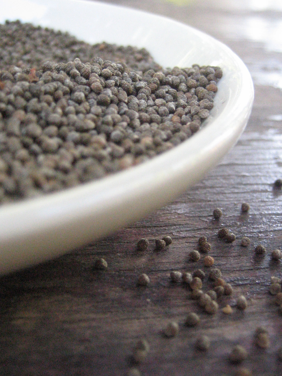 Perilla Seed งาขี้ม้อน งาม้อน งาขี้ม่อน งาม่อน