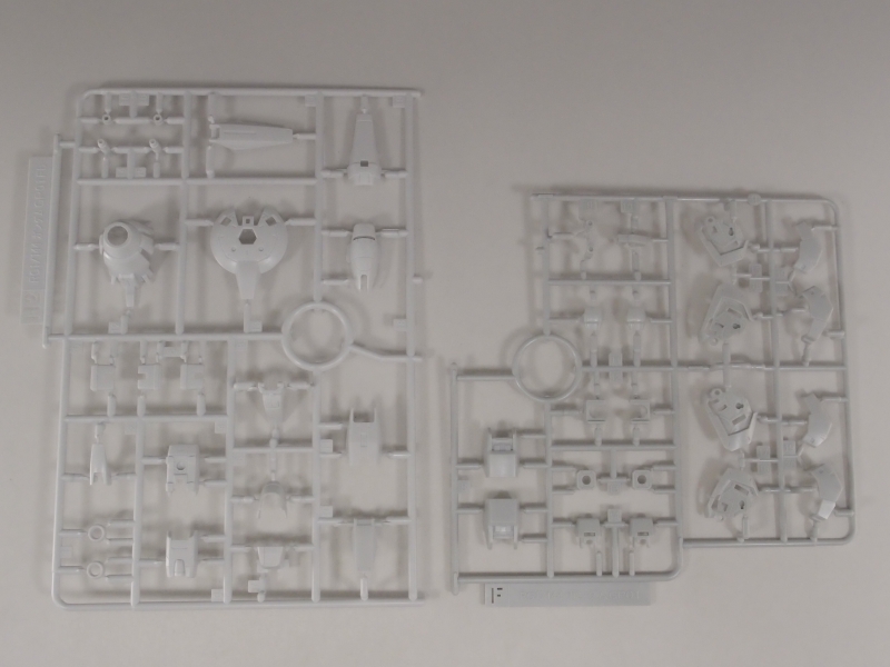 Gp01FB