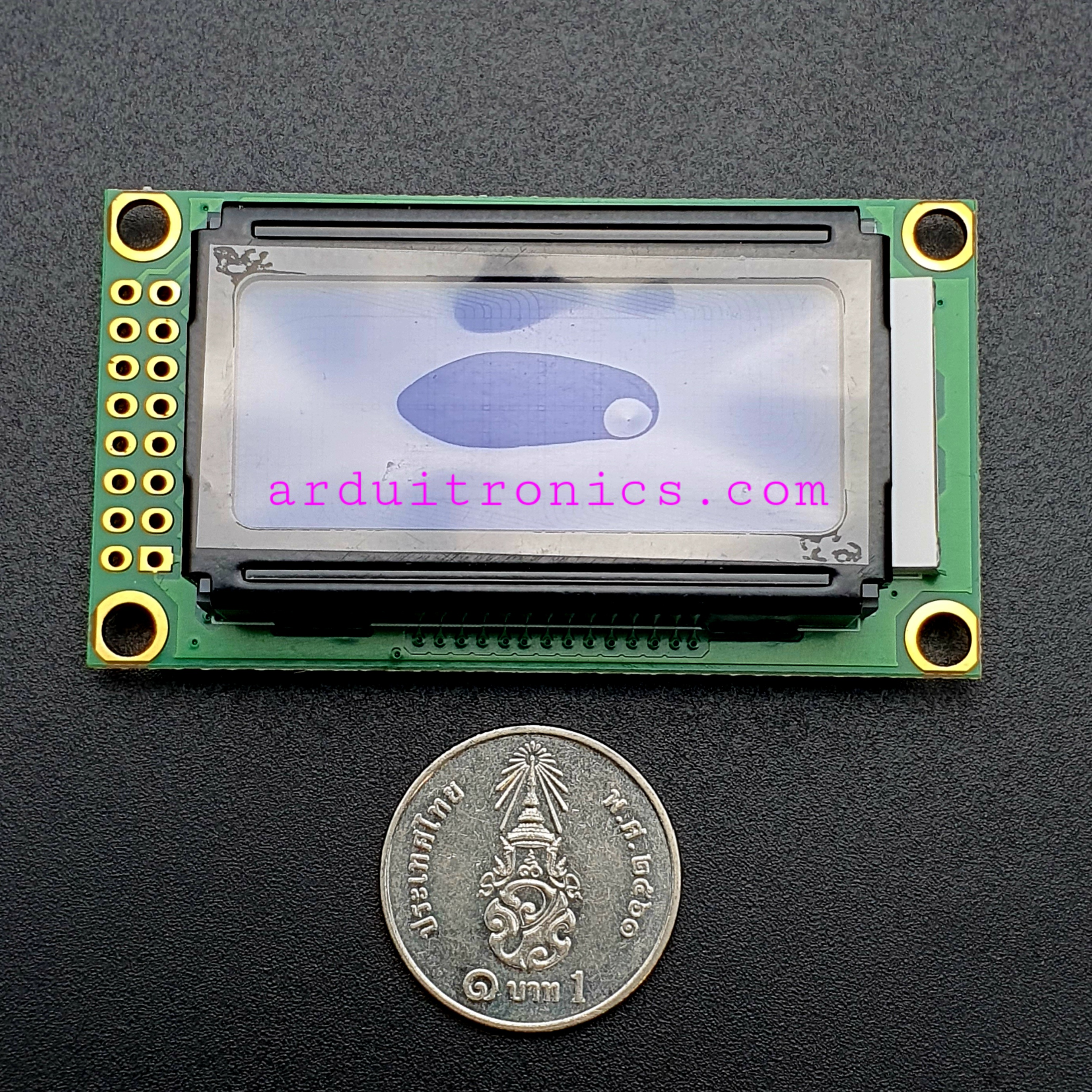 LCM0802B 3.3V 8x2 Character LCD 0802 (Blue Screen with Backlight)