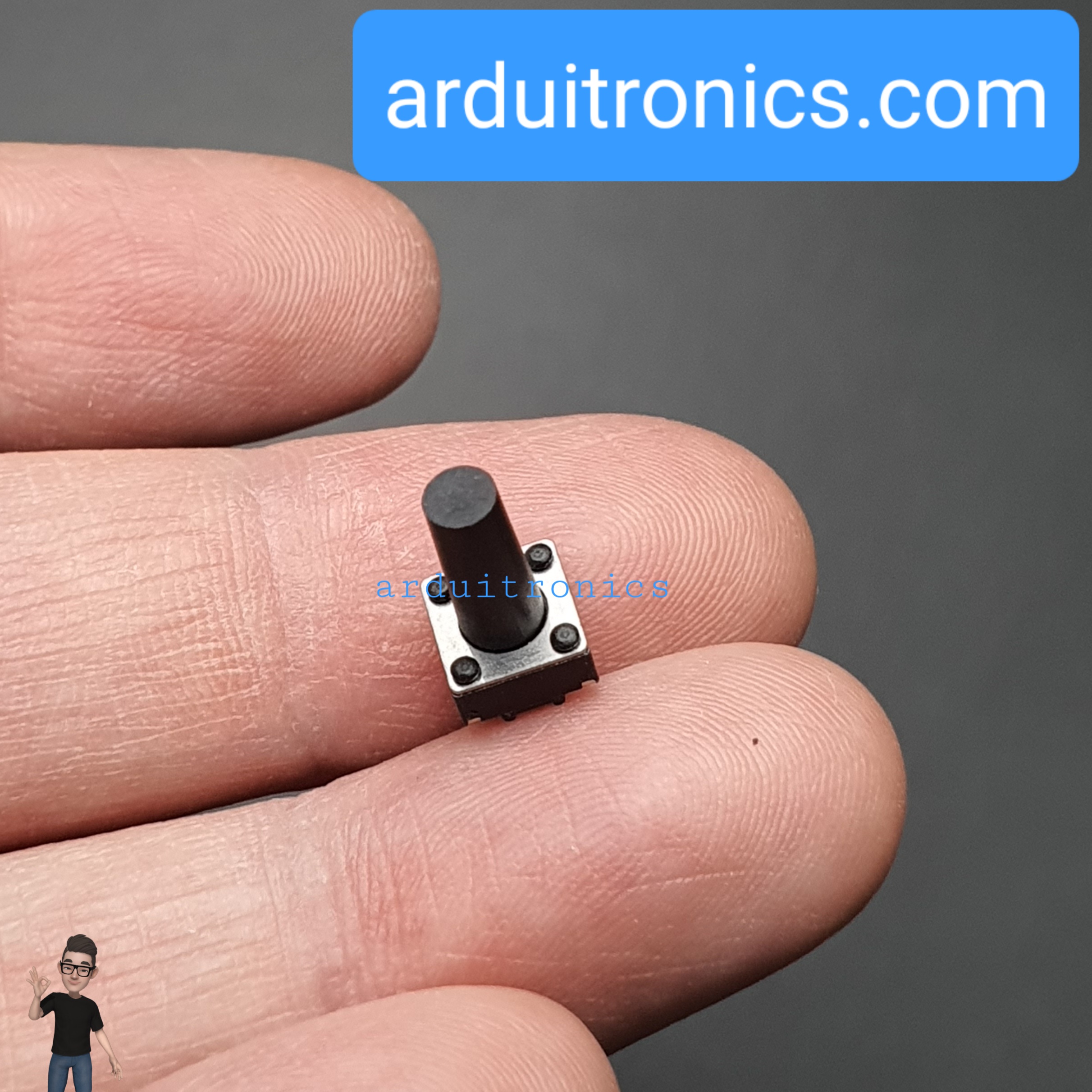 Tact Switch 6X6x12mm ไมโครสวิตช์ กดติดปล่อยดับ 2 ขา (หัวกลม)