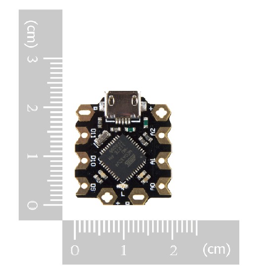 Beetle Board (Leonardo)