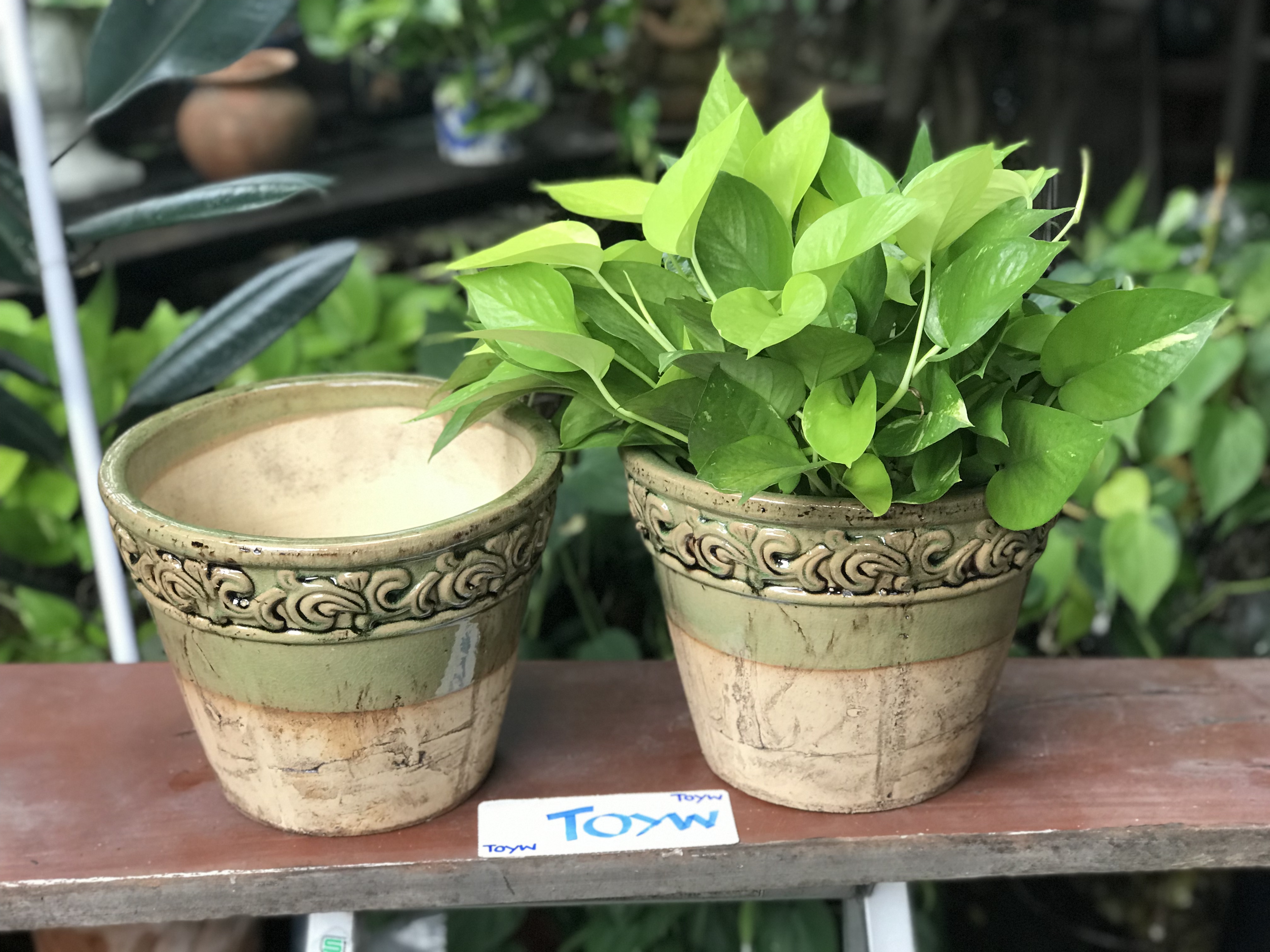 ขายคู่ ไม่รวมต้นไม้ เก็บเก่ากระถาง แจกันลายปั้นนูน น้ำเคลือบสีเขียว สวยสมบูรณ์ ไม่แตกไม่ร้าว ขนาดปากกว้าง 10 นิ้ว สูง 8 นิ้ว