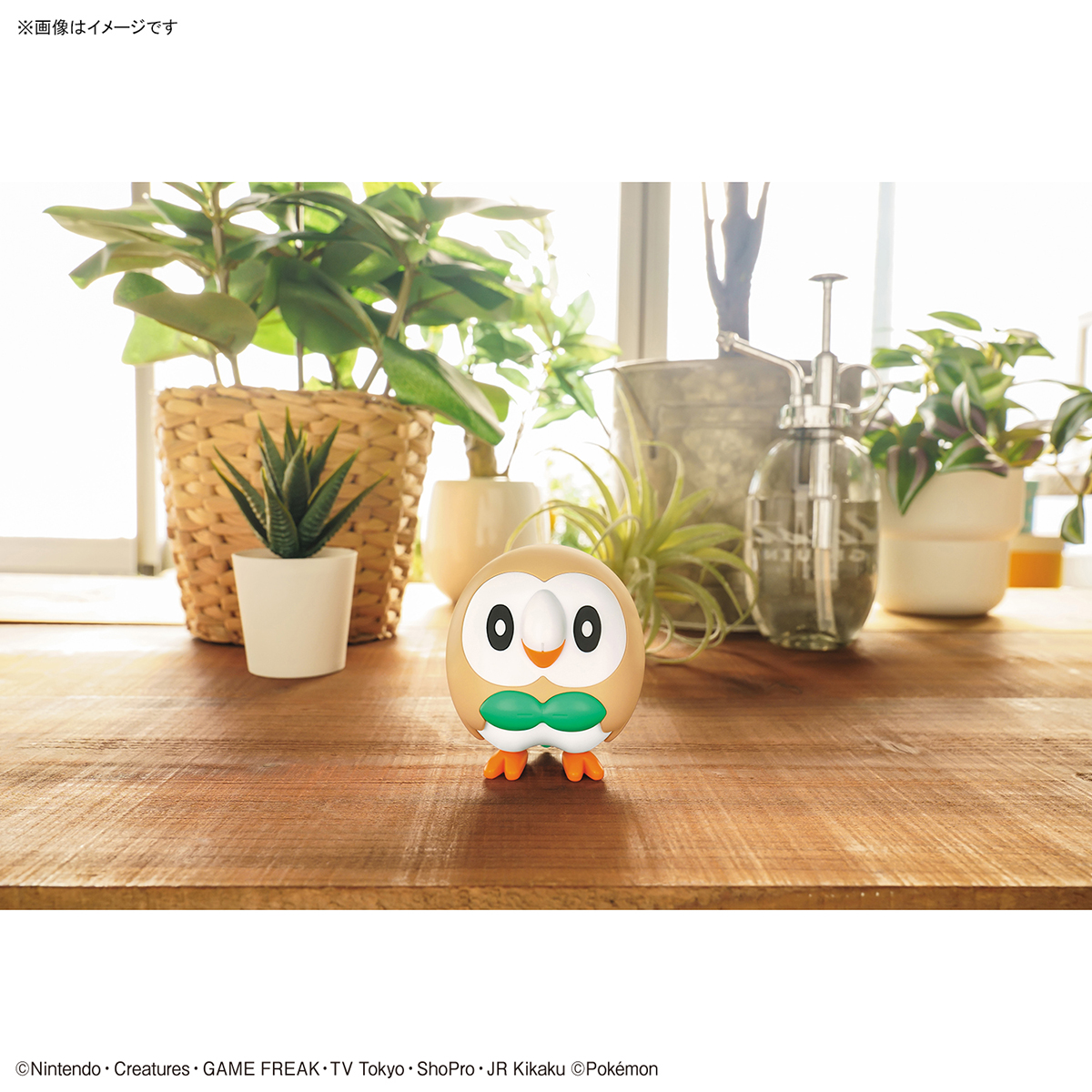 Pokemon Plamo Collection Quick !! 10 Rowlet