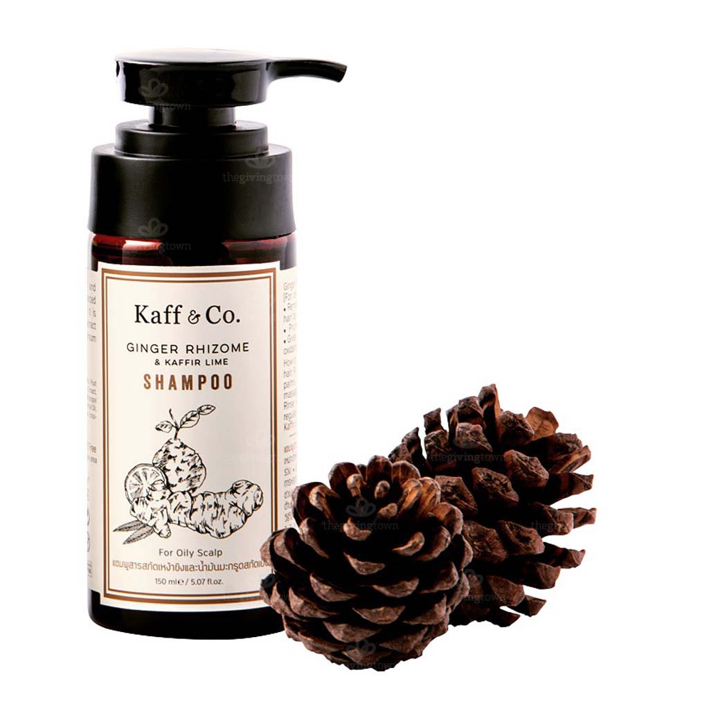 Kaff&Co Ginger Rhizome & Kaffir Lime Shampoo คาฟฟ์ แอนด์ โค แชมพูสารสกัดเหง้าขิงและน้ำมันมะกรูดสกัดเย็น
