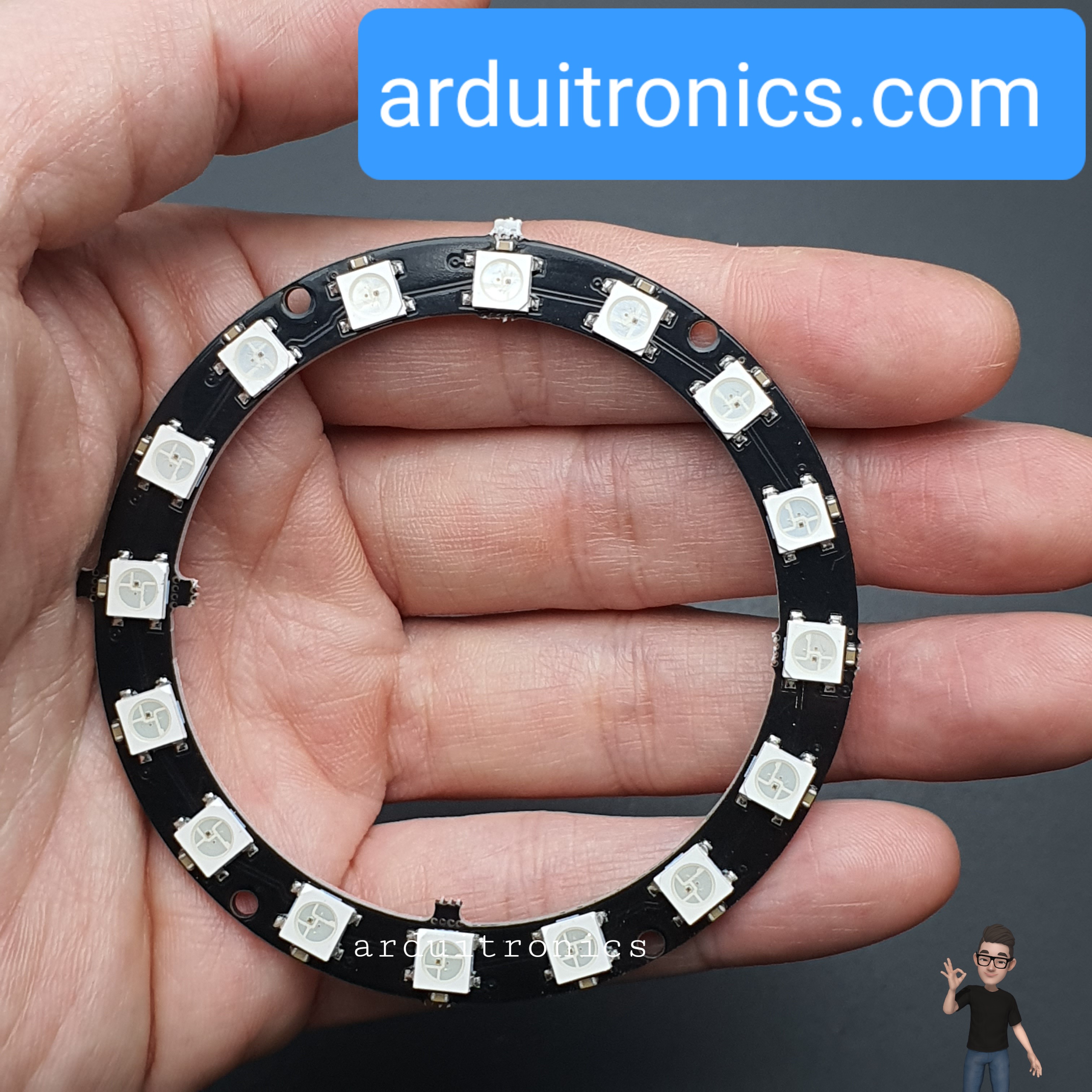 NeoPixel Ring 16