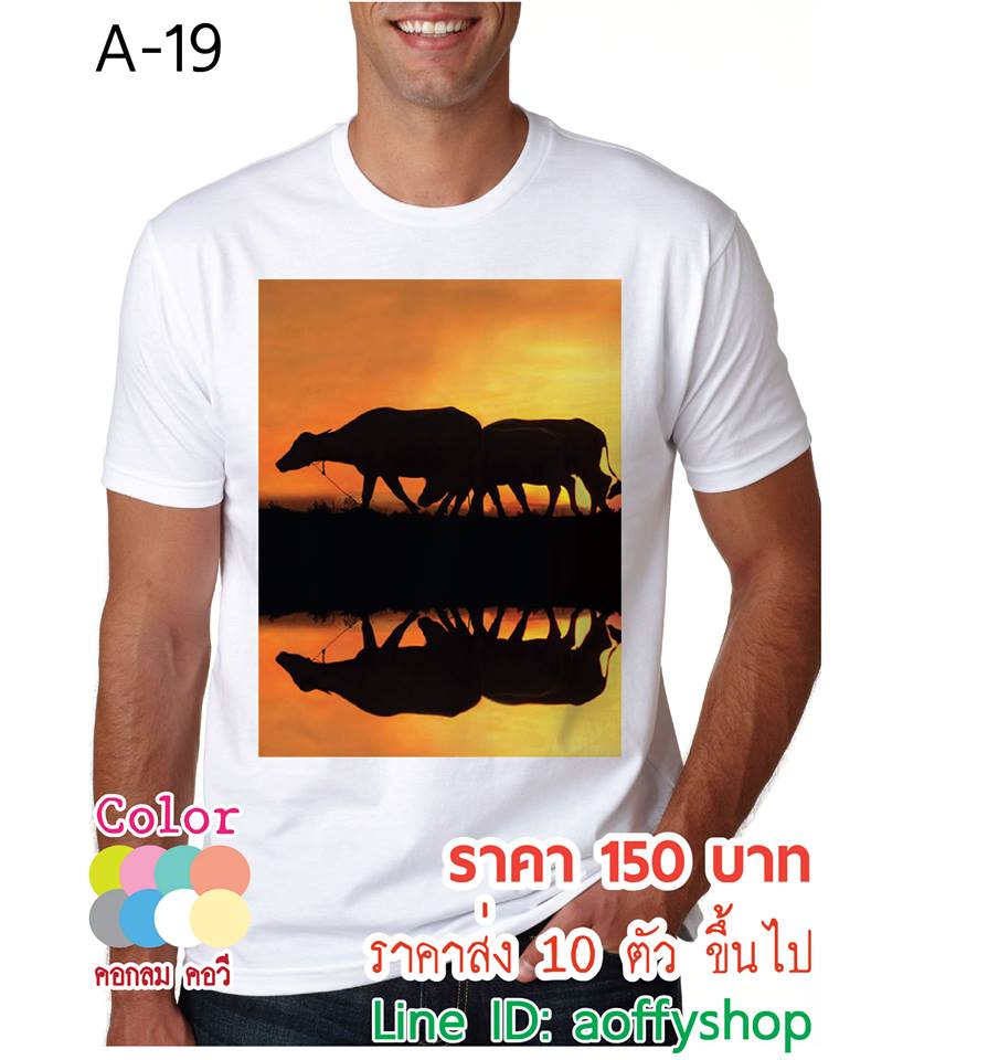 ขายส่ง ปลีก เสื้อยืดลายอาร์ตๆ