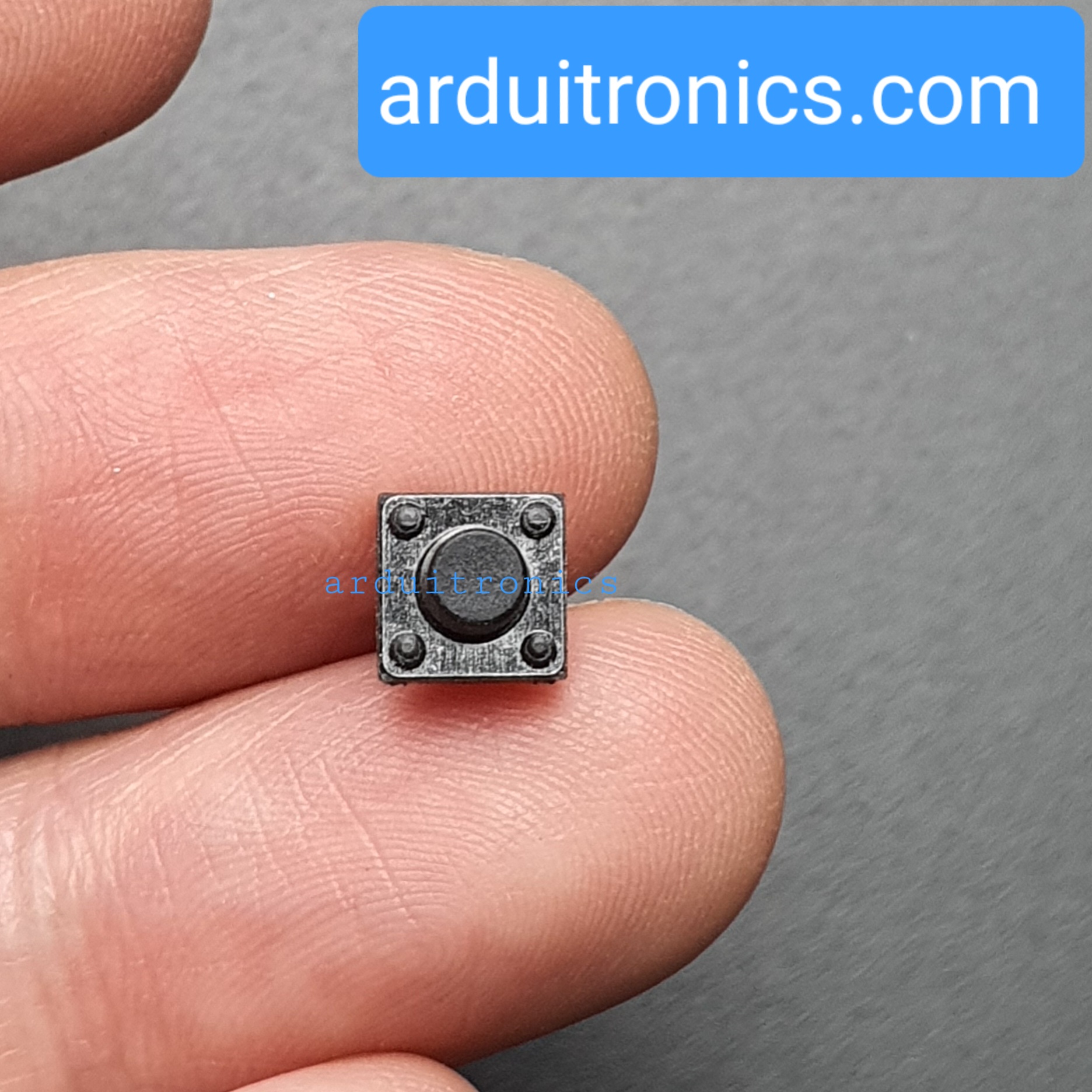 Tact Switch 6X6x6mm ไมโครสวิตช์ กดติดปล่อยดับ 2 ขา (หัวกลม)