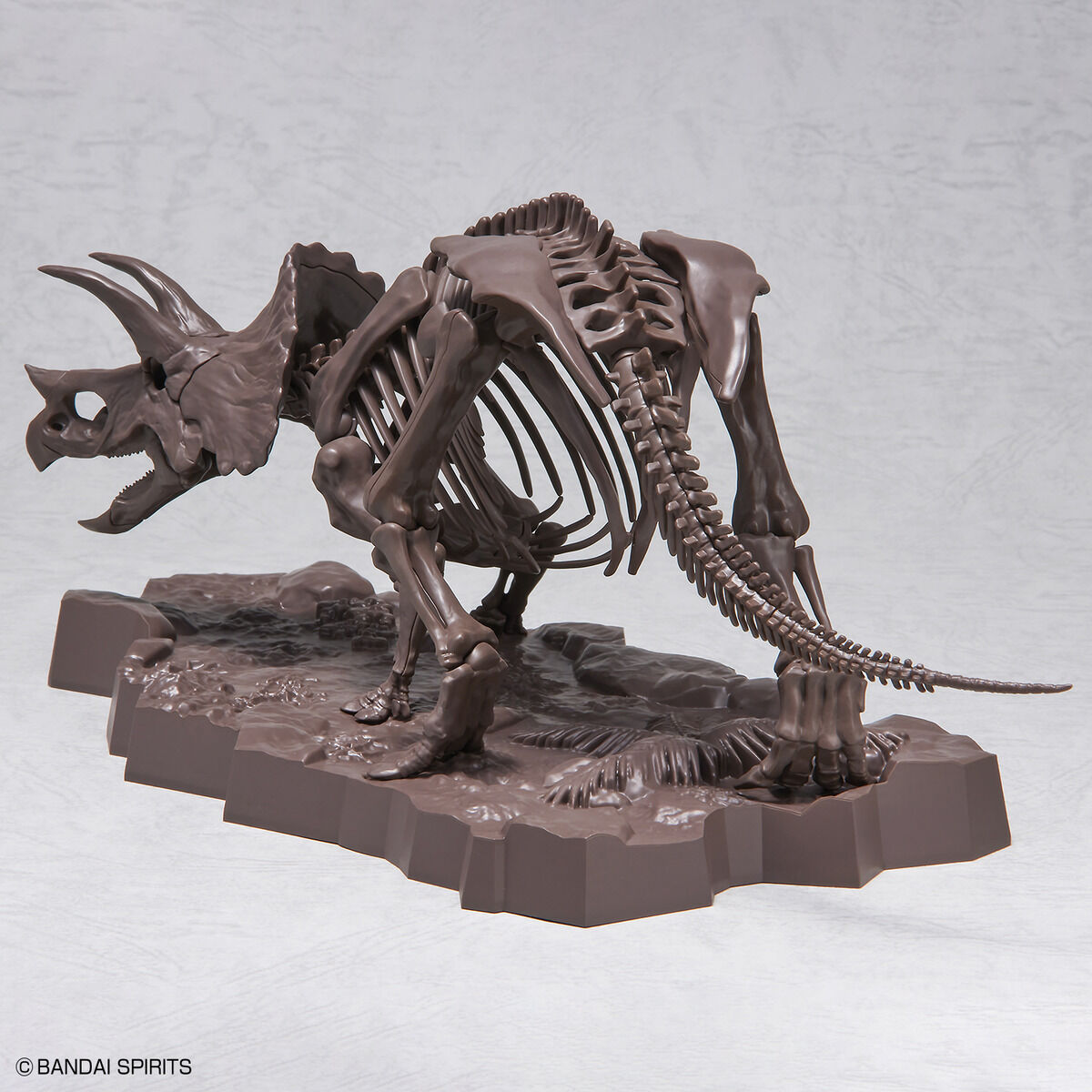 Imaginary Skeleton Triceratops