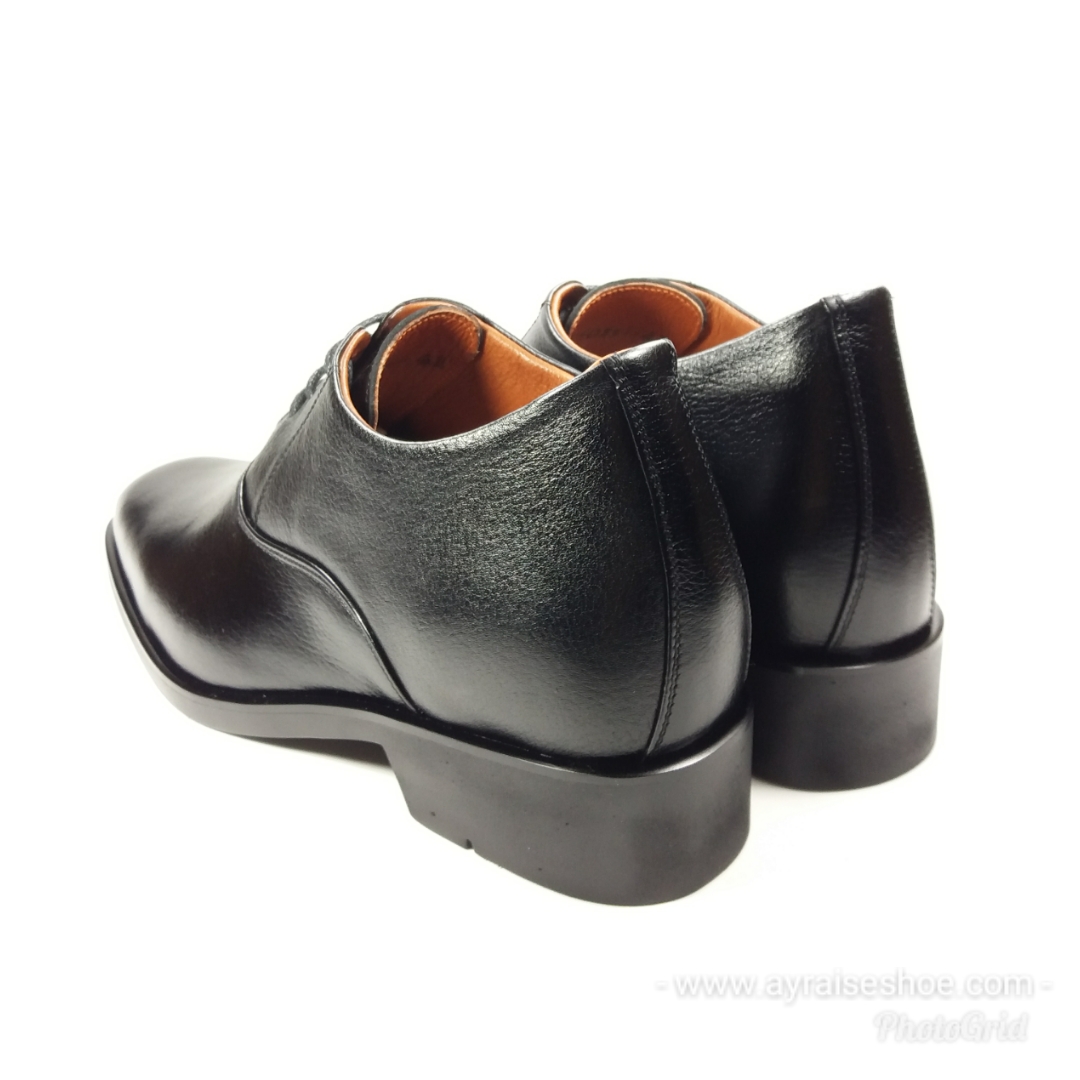 Classica (Black CM) 8.5